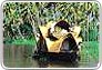 glimpses of kerala