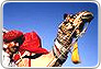 expedition rajasthan