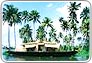 coconut tour of kerala