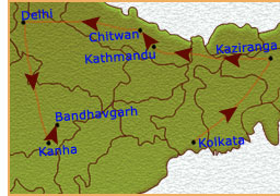 wildlife tour