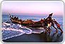 glimpses of kerala