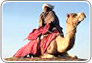 rajasthan tour