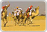 romantic rajasthan