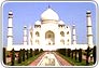 india wildlife tour